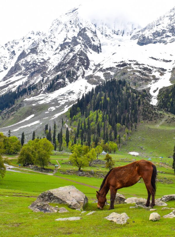 Sonamarg